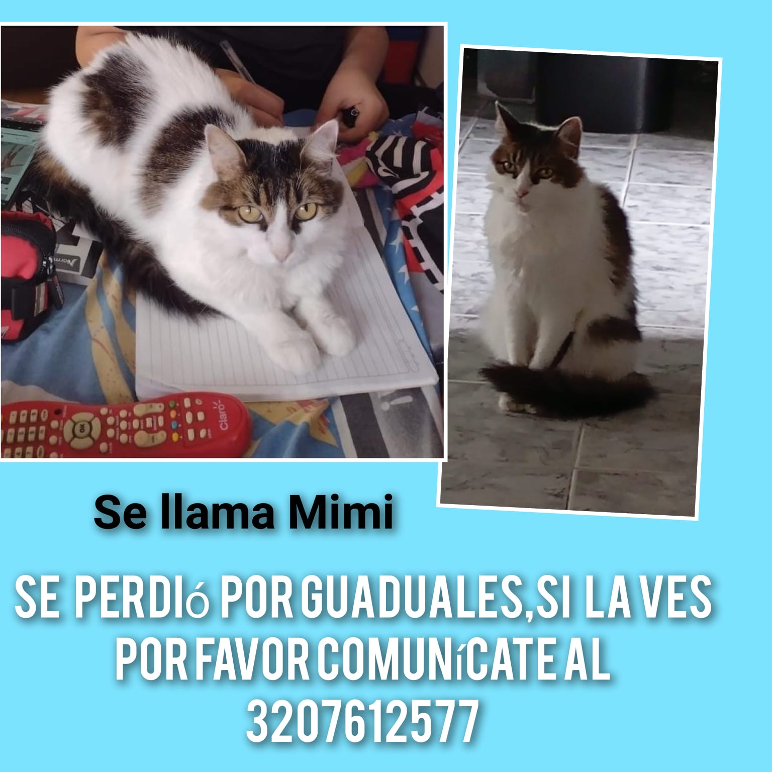 Se perdió "MIMI"