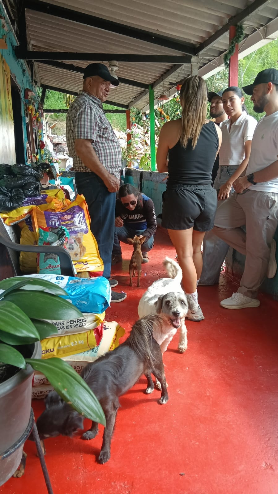 Comida para animales Donación
