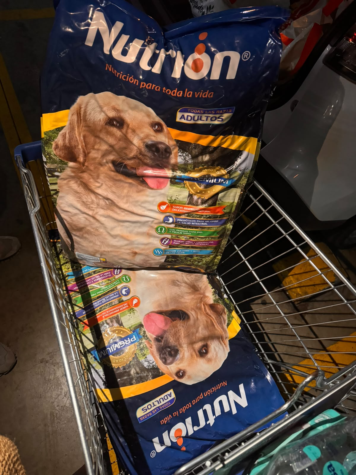 Donación comida para perro