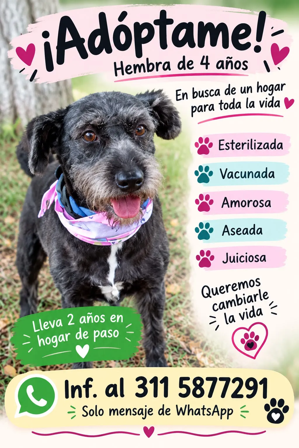 ¡Adopción!