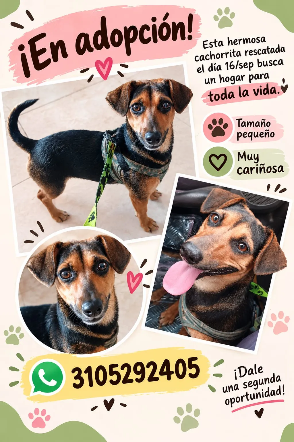 ¡Adopción!